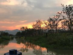 -长田漾湿地公园