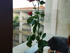 -V Bar海景扒房(北海湾惠龙万达嘉华酒店)