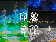 -印象普陀