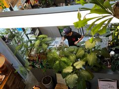 -nodcafe(M50创意园店)