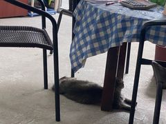 -鸿渡渔庄·特色鸭咀鱼