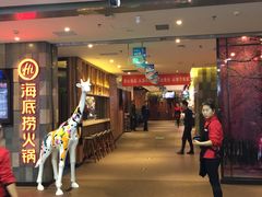 -海底捞火锅(金花路店)