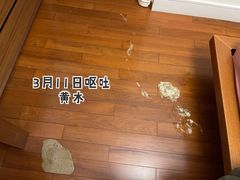 -佩兹宠物医院肿瘤专科·眼科·牙科(黄浦店)