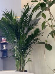 -十孕纪高端孕妇亲子摄影