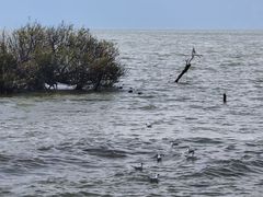-呈贡滇池生态湿地公园