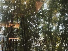 -梅花境(万科店)