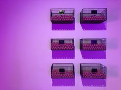 -chi K11艺术空间展览厅