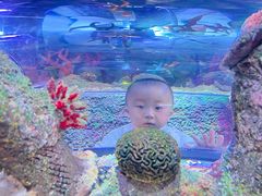 -沈阳海洋探索中心