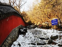 -阳台山自然风景区