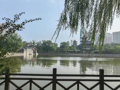-迎泽公园