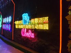 -栾川竹海野生动物园