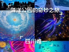 -海合安成都极地海洋公园