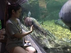 -暹罗海洋世界