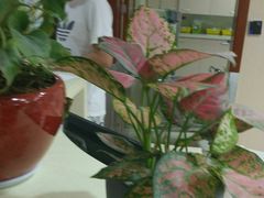 -浙江省立同德医院(翠苑院区)