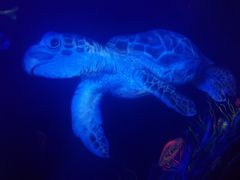-乌鲁木齐海洋馆