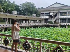 -荔湾湖公园