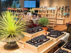 -春晖园度假酒店温泉