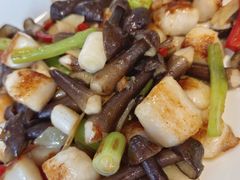 鸡枞菌鲜贝-天福苑(崇宁路店)