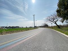 -莲花岛景区