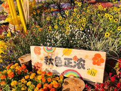 -北京十三陵国家森林公园蟒山景区