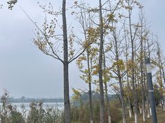 -林真真牛肋条放题(天马店)