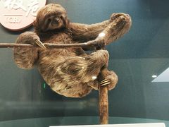 -国家自然博物馆