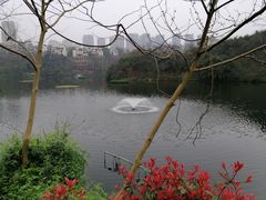 -重庆彩云湖湿地公园