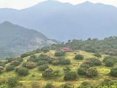 -广州市石门国家森林公园