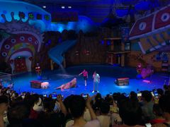 -烟台海昌鲸鲨海洋公园