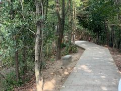 -云碧峰国家森林公园
