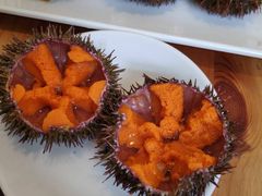 -海胆小馆(东北水饺·春柳店)