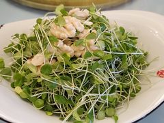 香椿拌桃仁-峨嵋酒家(地安门店)