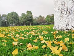 -重庆中央公园(渝北区)