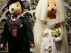 -济州岛泰迪熊博物馆