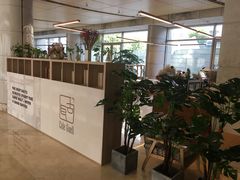 -古耳咖啡(北锣店)