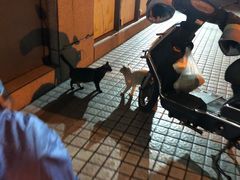 -上海市长宁区天山中医医院