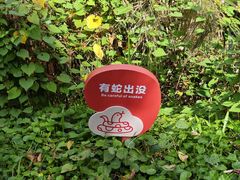 -荔芳传统糖水铺