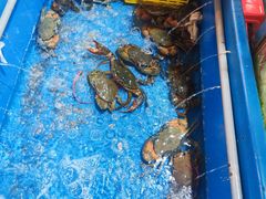 -大树下海鲜饭店