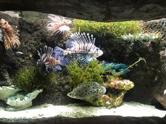 -杭州海底世界