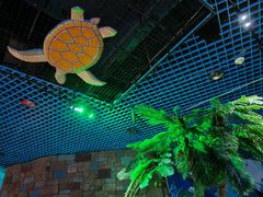 -太平洋海底世界