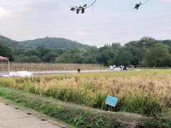 -八卦田遗址公园