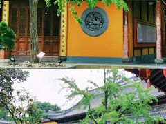 -龙华寺
