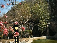 -麦积山温泉