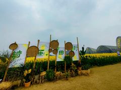 -中国天府农业博览园