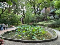 -香港大学