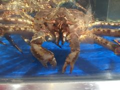 -盒马鲜生(莱蒙都会店)