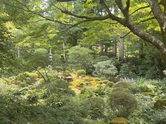 -三千院