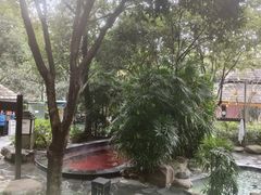 -融汇温泉