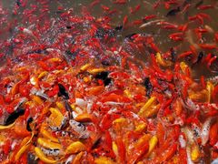 -泰安地下龙宫景区