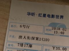 -红星电影世界上海张江绿地店